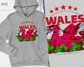 Wales Football Hoodie, Flag Cymru Welsh Flag Jumper Welsh Football Wales Flag World Football Cup Welsh Football Kit Unisex Hoody